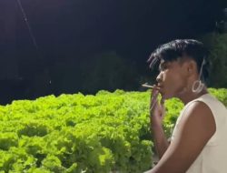 Pemuda Asal Sumenep Raup Keuntungan Jutaan Rupiah Melalui Budidaya Hidroponik