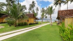 Libur Panjang Banyuwangi Diserbu 47 Ribu Wisatawan, Hotel dan Destinasi Penuh