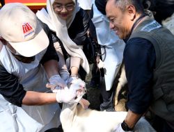 Pemkab Banyuwangi Periksa Kesehatan Hewan Kurban, Pastikan Layak saat Idul Adha