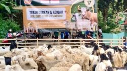 Makna Idul Adha: Ketakwaan dan Kepedulian Sosial dalam Ibadah Qurban