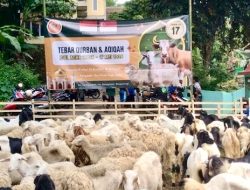 Makna Idul Adha: Ketakwaan dan Kepedulian Sosial dalam Ibadah Qurban