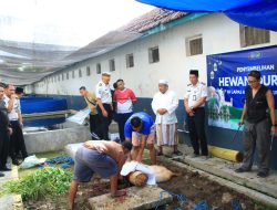 Lapas Banyuwangi Potong 12 Hewan Qurban, Warga Binaan Akan Nyate Bareng