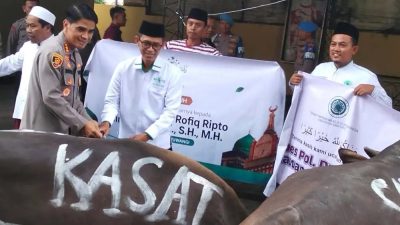 Idul Adha 2026, Polresta Banyuwangi Distribusikan 21 Sapi dan 24 Kambing Kurban